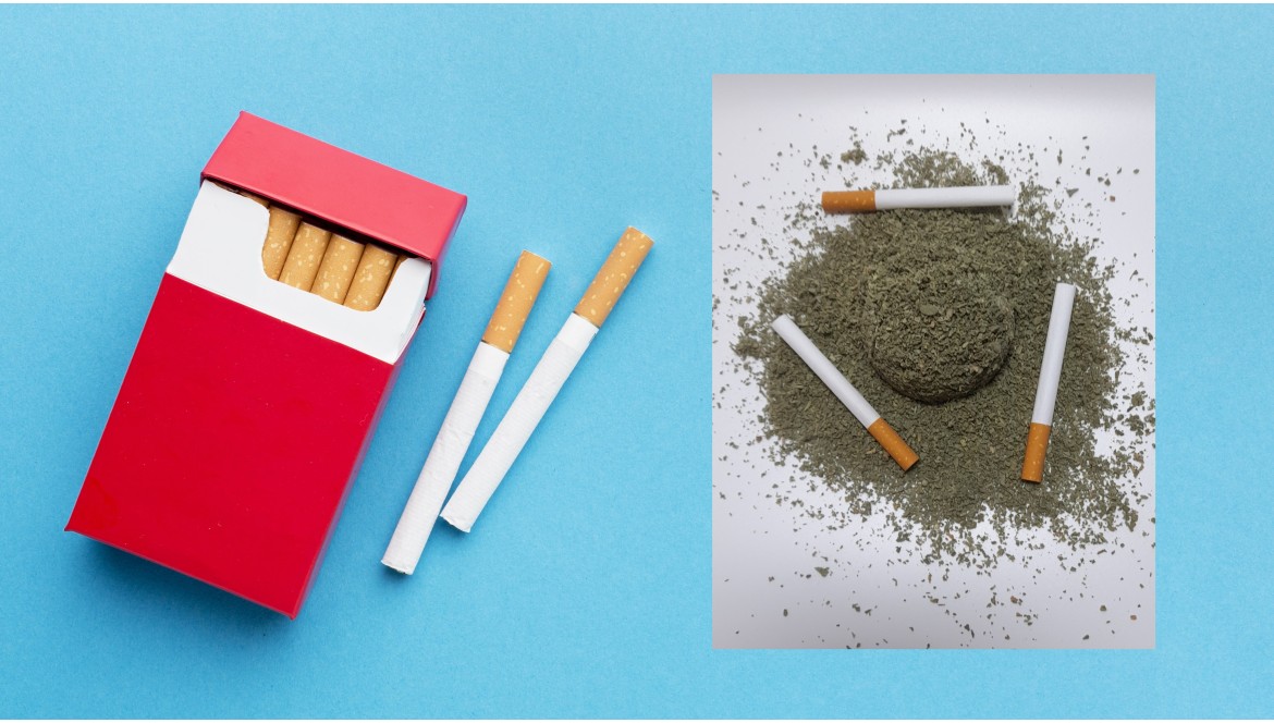"Comparison between Tobacco Cigarettes and Herbal Cigarettes: Ingredients, Health Impact and Social Perspectives"