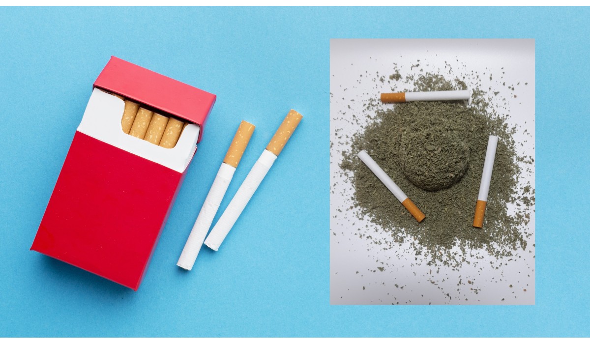 "Comparison between Tobacco Cigarettes and Herbal Cigarettes: Ingredients, Health Impact and Social Perspectives"