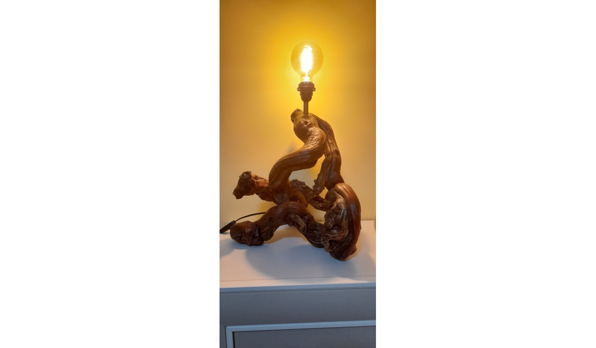 “Las lámparas de cepas de viña representan una fusión entre el arte, la funcionalidad y la sostenibilidad”